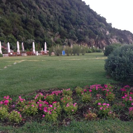 Holiday Homes Marina Apartments 蓬塔阿拉 外观 照片